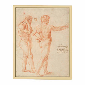 Nude Study