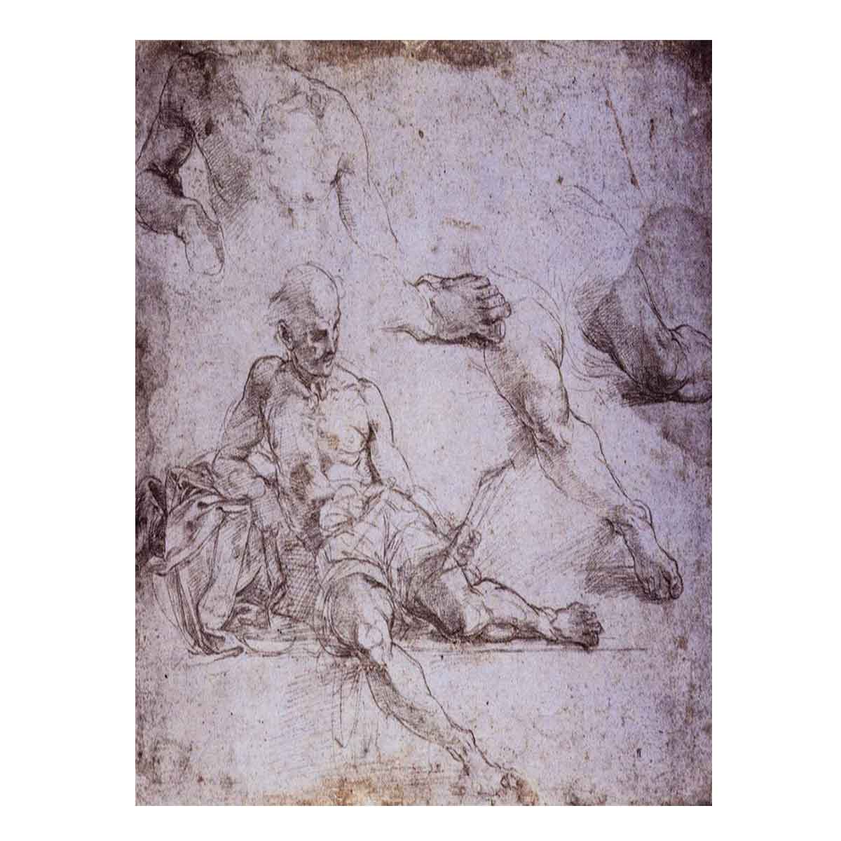 Study of Diogenes for the School of Athens By Raphael