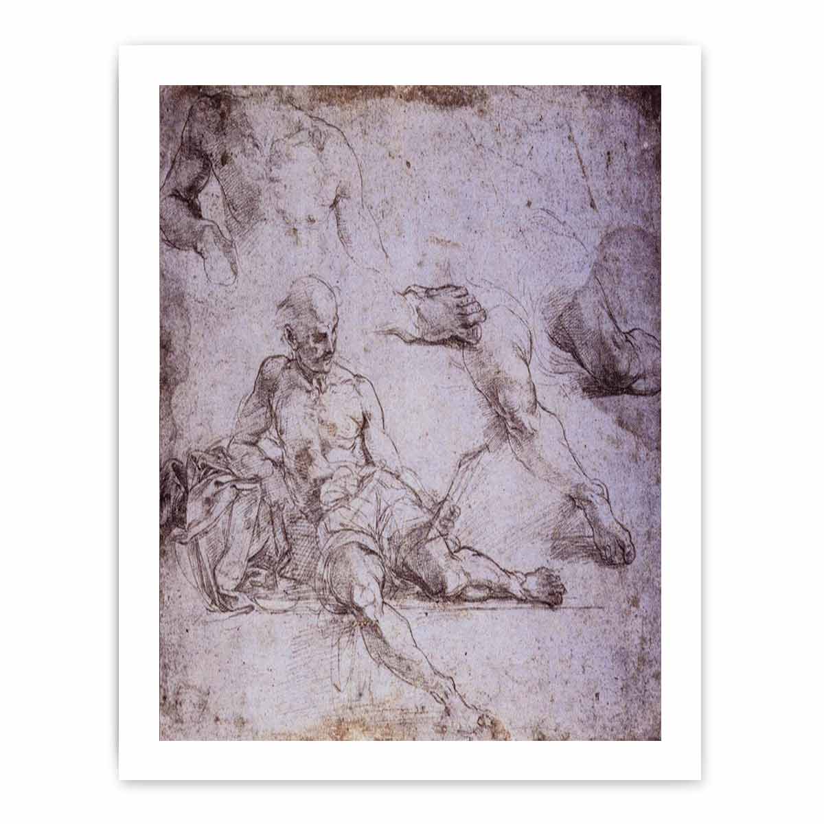 Study of Diogenes for the School of Athens By Raphael