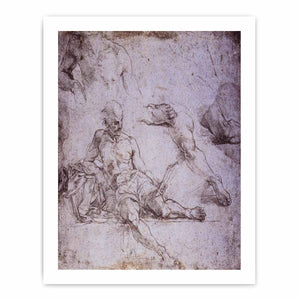 Study of Diogenes for the School of Athens By Raphael