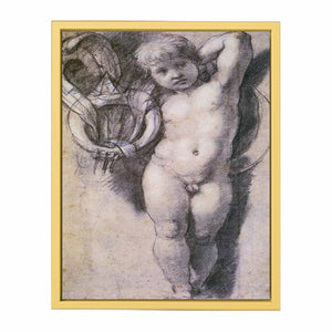 Putto with Medici Symbols By Raphael