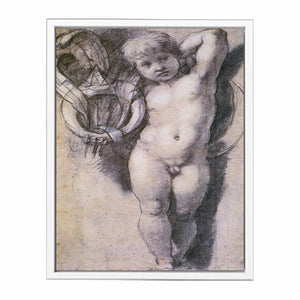 Putto with Medici Symbols By Raphael