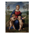 Madonna of the Goldfinch (Madonna del Cardellino) 1505-06