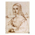 Portrait of a Woman By Raphael