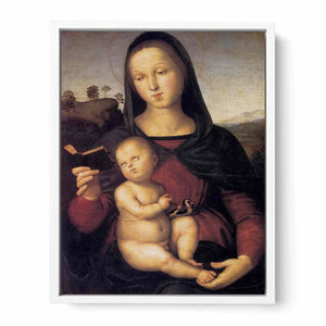 Solly Madonna By Raphael