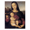 Solly Madonna By Raphael