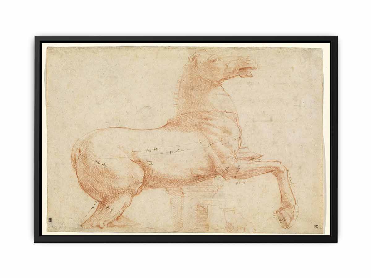 A Marble Horse on the Quirinal Hill [recto] By Raphael