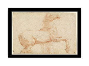 A Marble Horse on the Quirinal Hill [recto] By Raphael