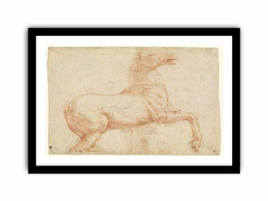 A Marble Horse on the Quirinal Hill [recto] By Raphael
