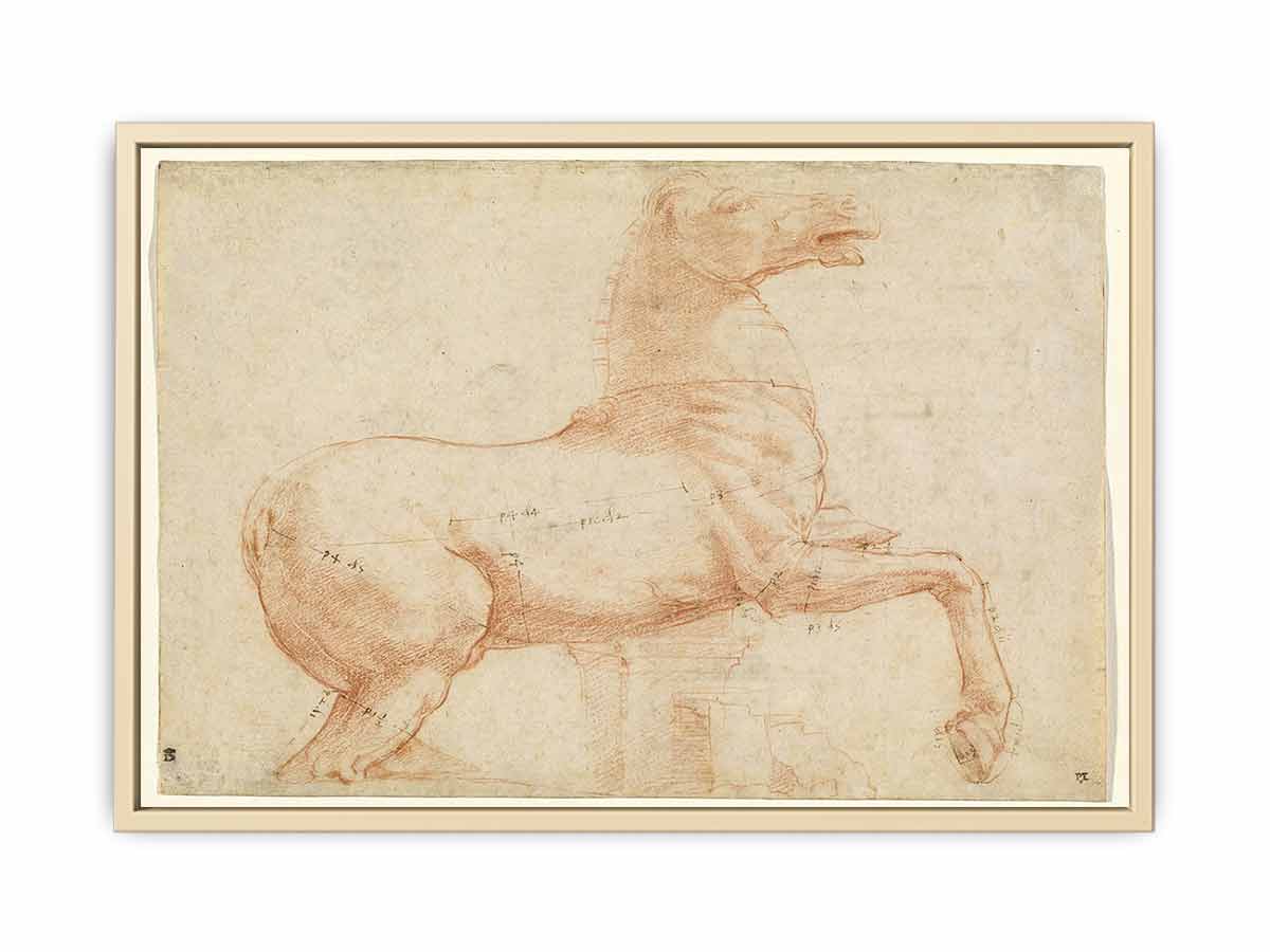 A Marble Horse on the Quirinal Hill [recto] By Raphael