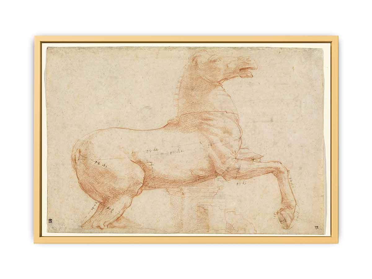 A Marble Horse on the Quirinal Hill [recto] By Raphael