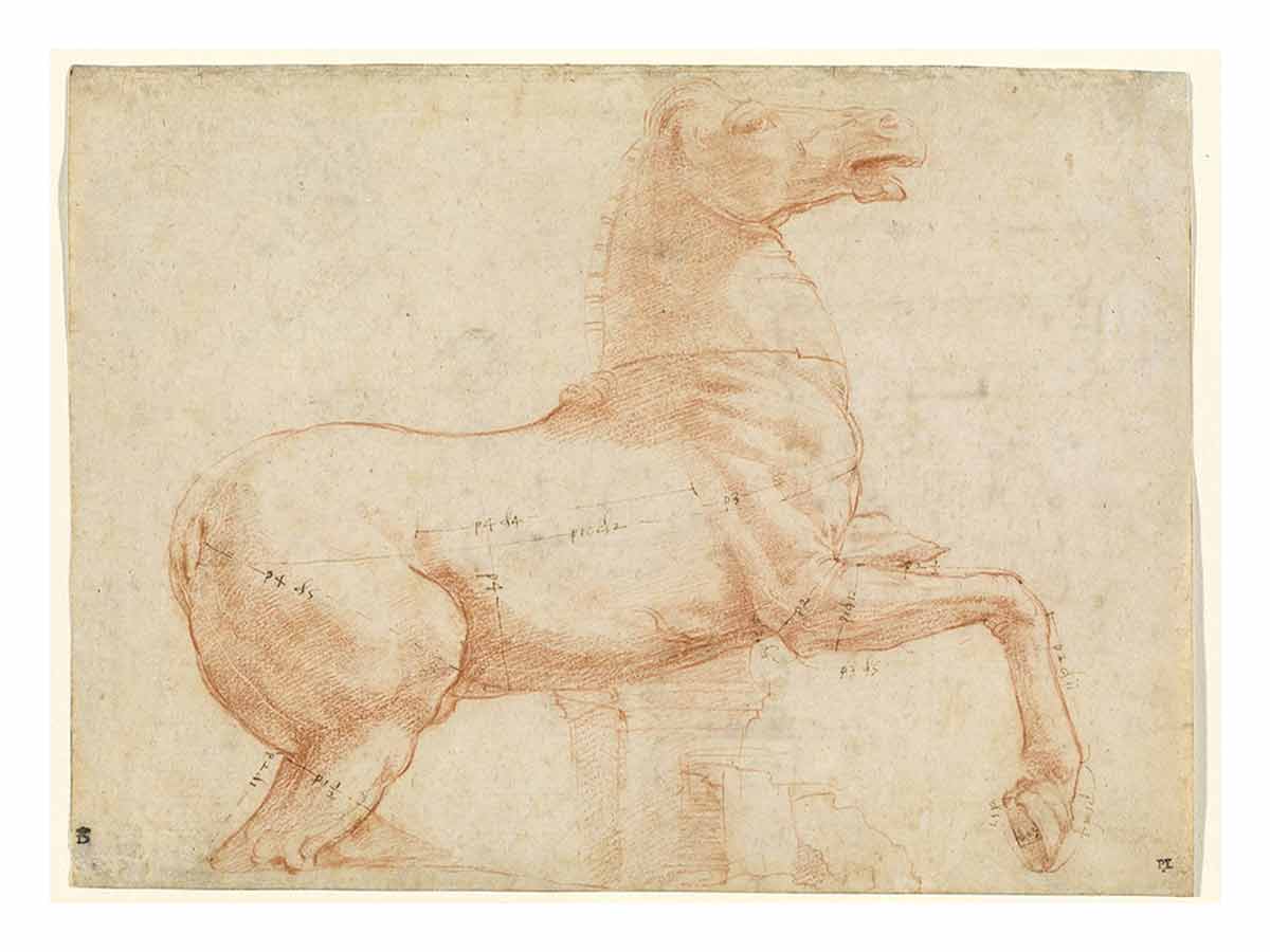 A Marble Horse on the Quirinal Hill [recto] By Raphael
