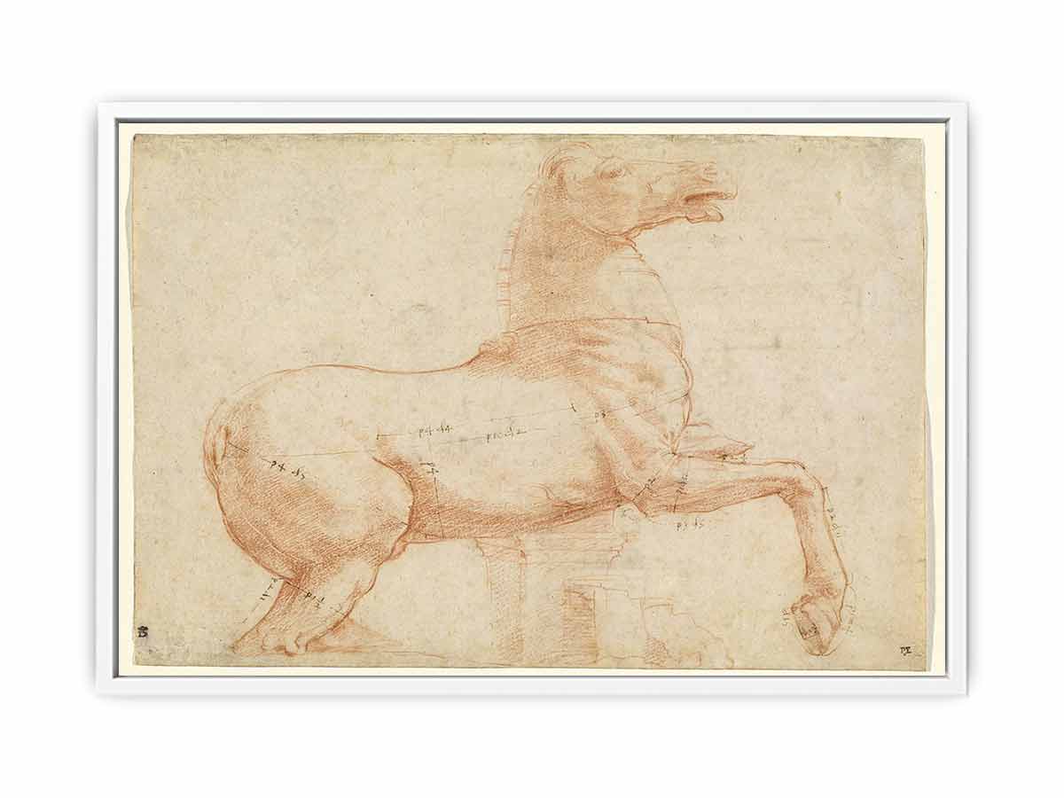A Marble Horse on the Quirinal Hill [recto] By Raphael