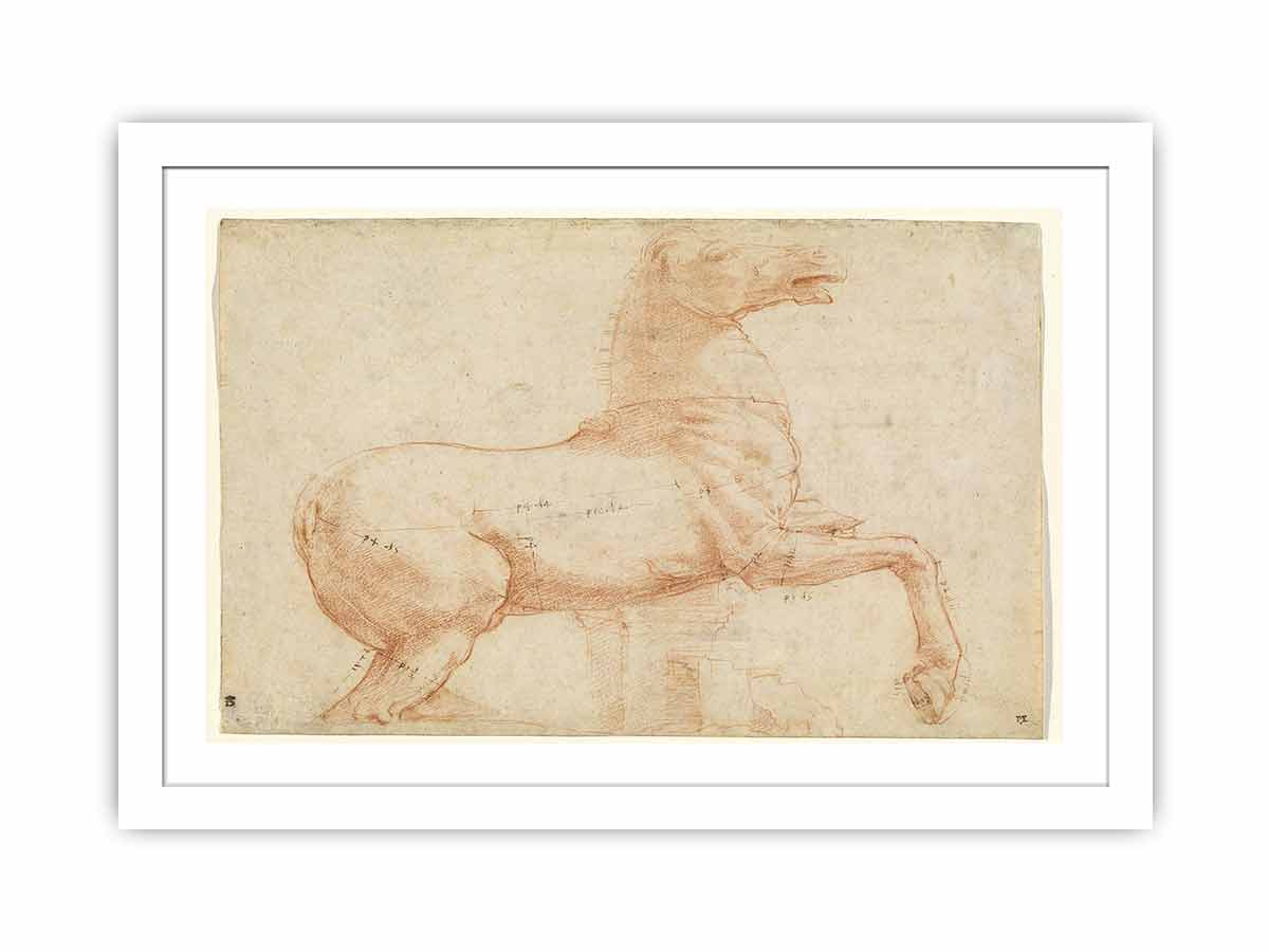 A Marble Horse on the Quirinal Hill [recto] By Raphael