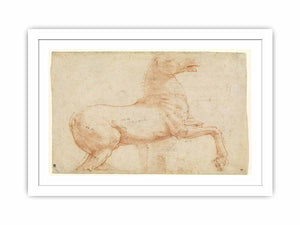 A Marble Horse on the Quirinal Hill [recto] By Raphael