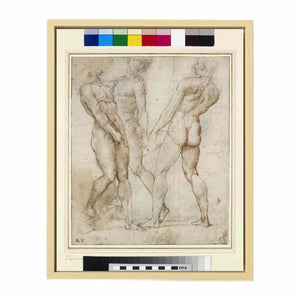 Study of Three Nude Bearers