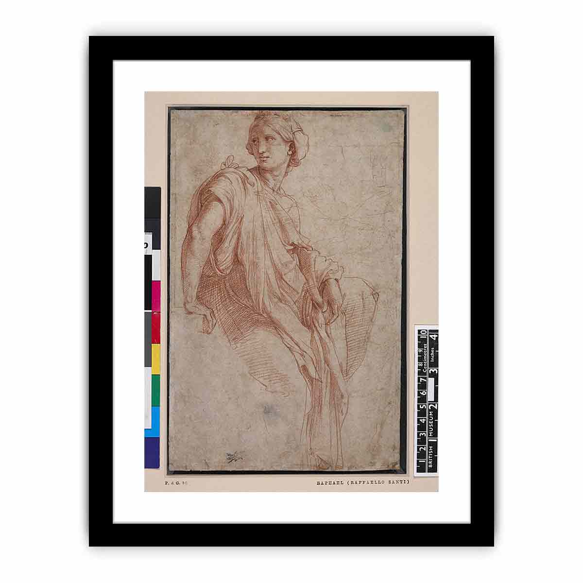 Study of a Sibyl (recto) By Raphael