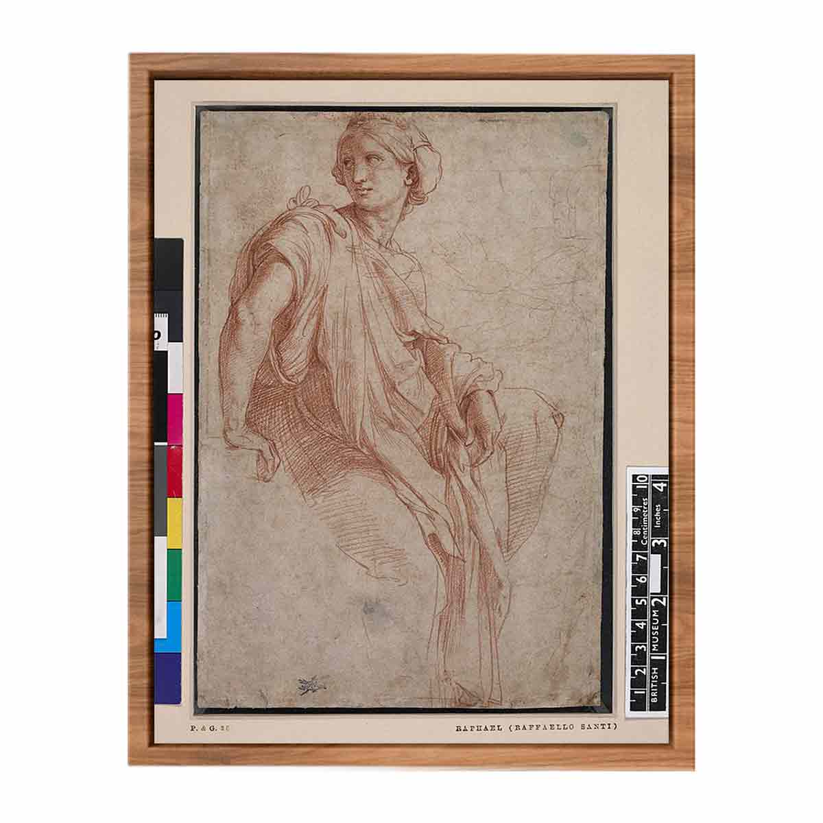 Study of a Sibyl (recto) By Raphael