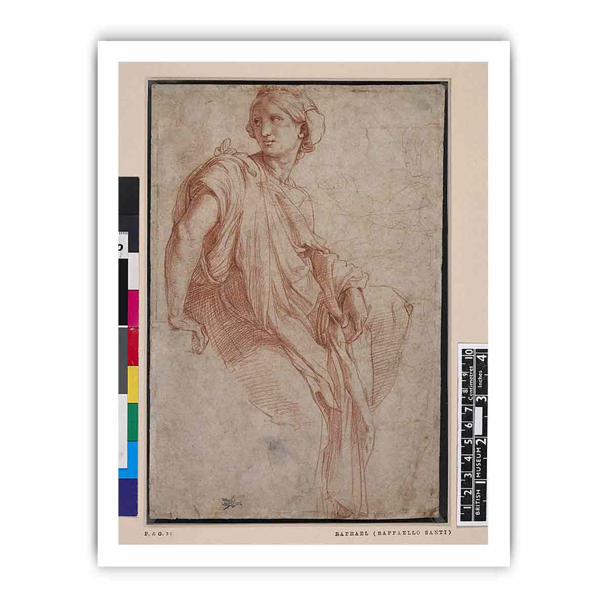 Study of a Sibyl (recto) By Raphael