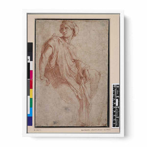 Study of a Sibyl (recto) By Raphael