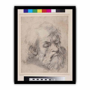 Study of the Head of an Apostle By Raphael