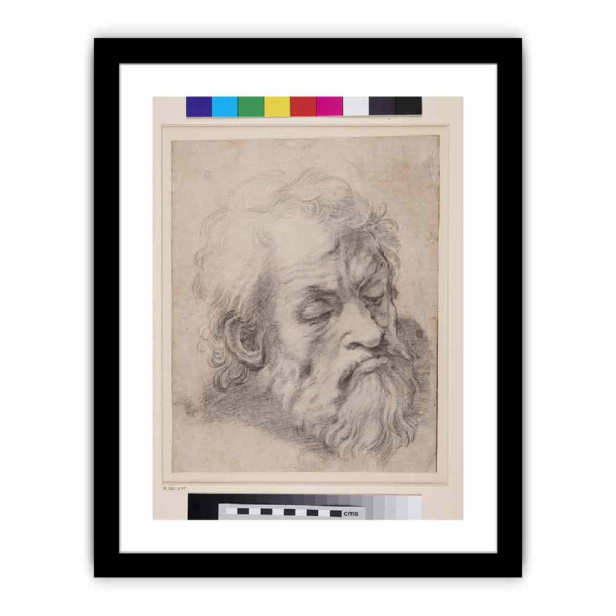 Study of the Head of an Apostle By Raphael