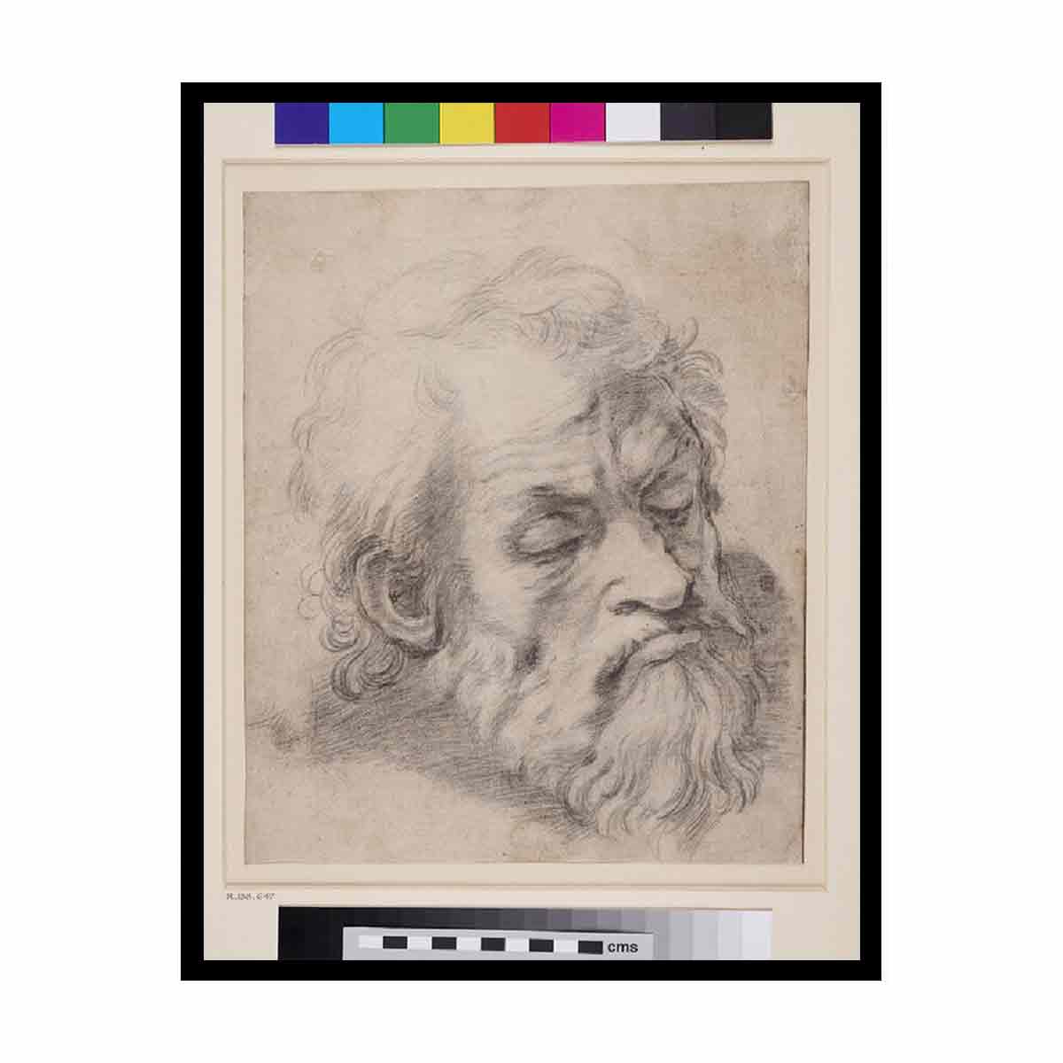 Study of the Head of an Apostle By Raphael
