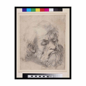 Study of the Head of an Apostle By Raphael