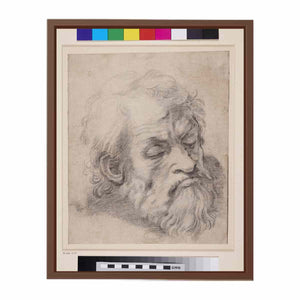 Study of the Head of an Apostle By Raphael