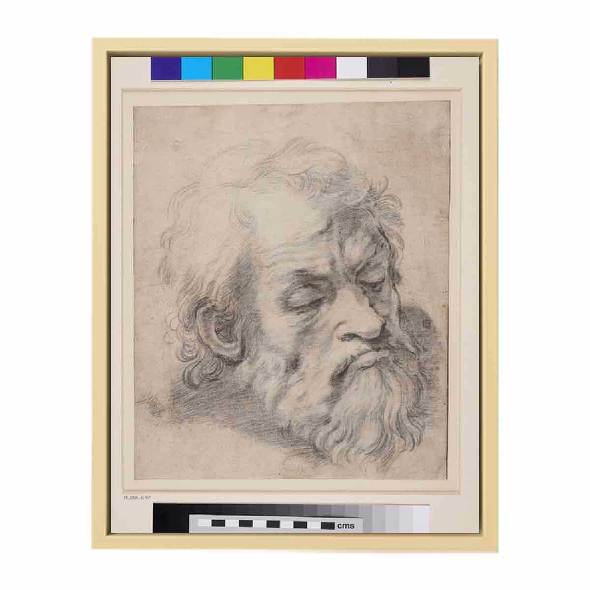 Study of the Head of an Apostle By Raphael