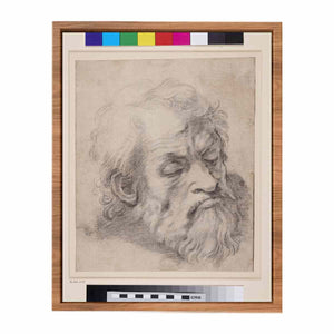 Study of the Head of an Apostle By Raphael