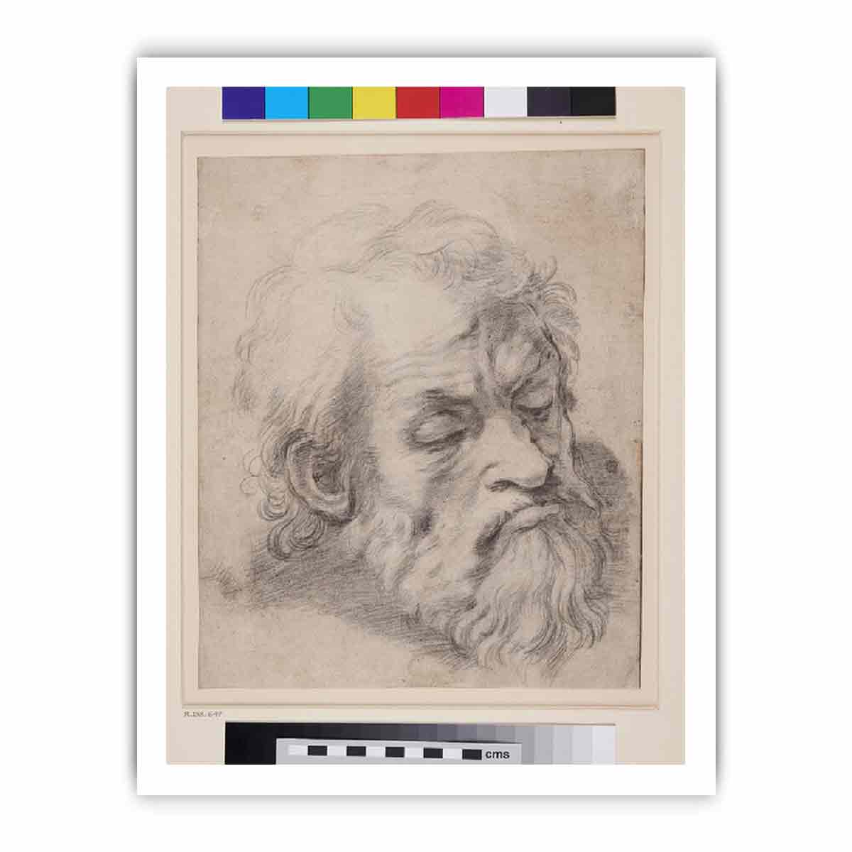 Study of the Head of an Apostle By Raphael