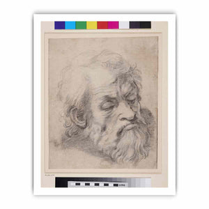 Study of the Head of an Apostle By Raphael