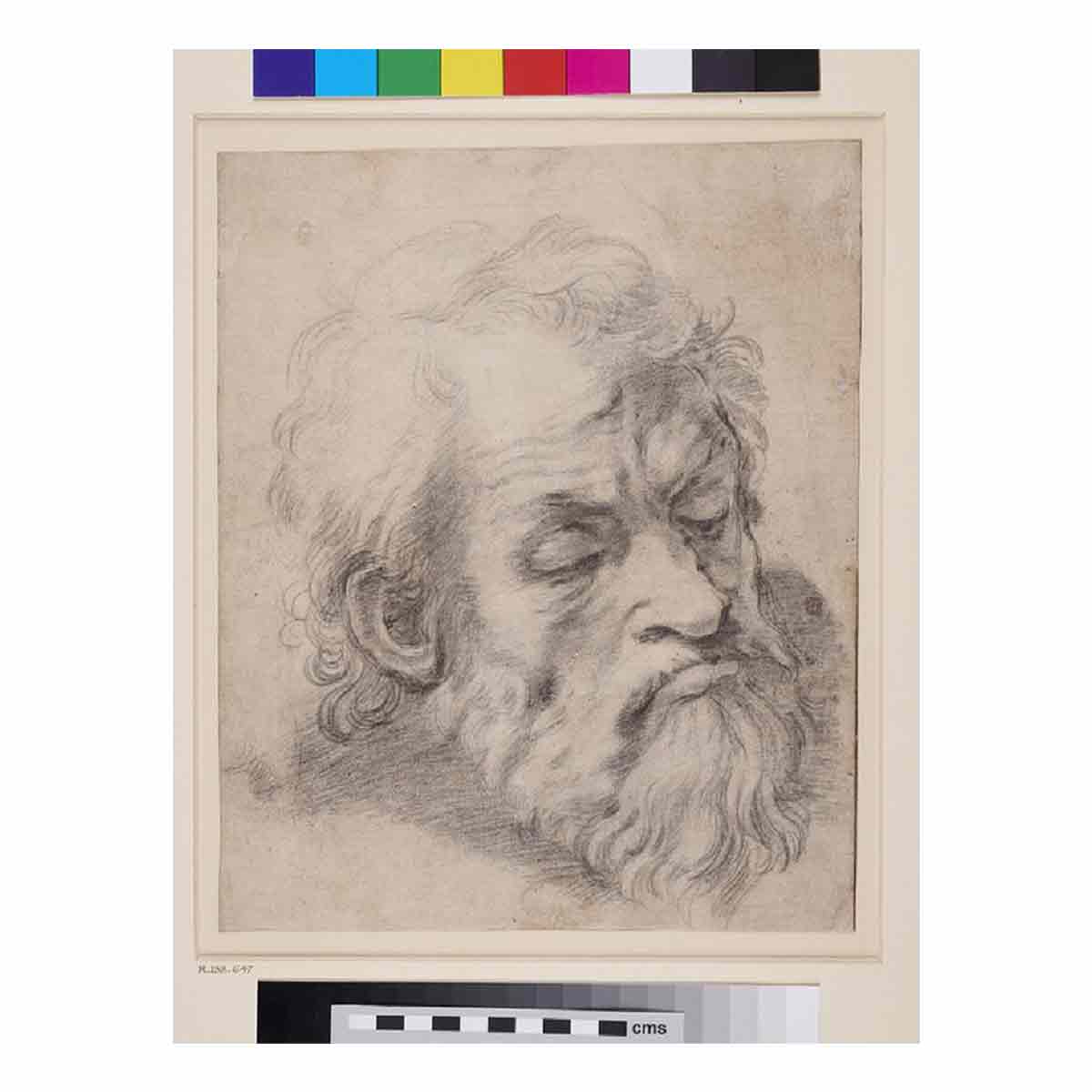 Study of the Head of an Apostle By Raphael