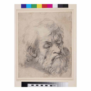 Study of the Head of an Apostle By Raphael