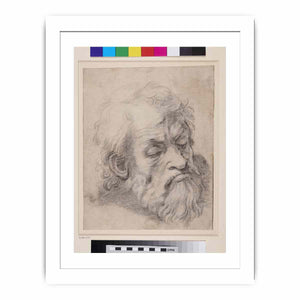Study of the Head of an Apostle By Raphael