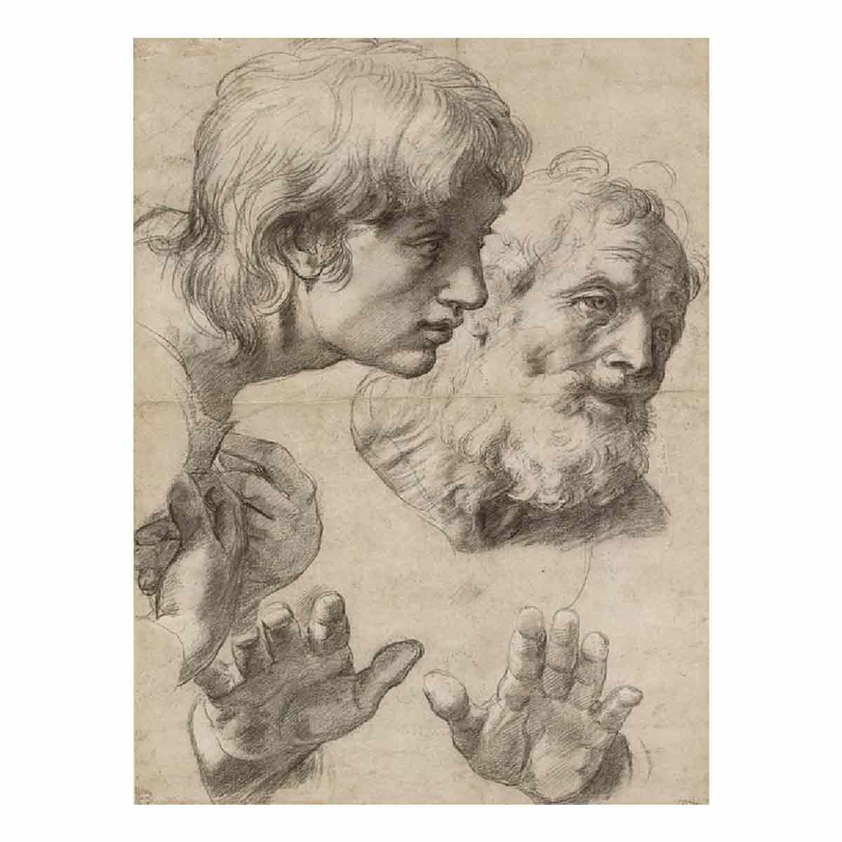 Heads and hands of the Apostles By Raphael