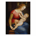 Madonna d'Orleans By Raphael
