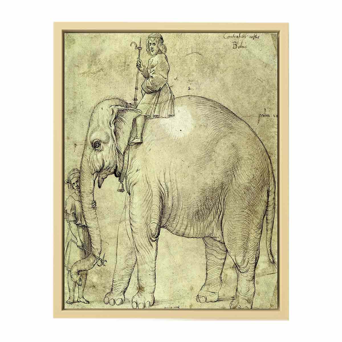 The Elephant Hanno By Raphael