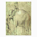 The Elephant Hanno By Raphael