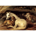 The Arab Tent 1866