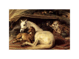 The Arab Tent 1866 artwork preview