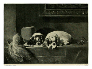  Landseer : a collection of fifteen pictures and a portrait of the painter