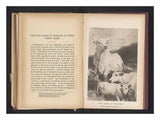 Reproductie van een prent van wild vee bij Chillingham door Sir Edwin Henry LandseerWild cattle at Chillingham (titel op object) artwork preview
