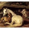 The Arab Tent