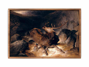 Deer and Deer Hounds in a Mountain Torrent