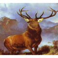 The Monarch of the Glen