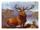 The Monarch of the Glen artwork preview