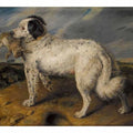 The Champion; Venus, a Landseer Newfoundland with a rabbit, 45.5 by 55.5 in (116 by 141 cm)