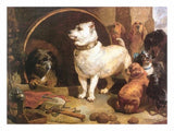 Alexander and Diogenes artwork preview